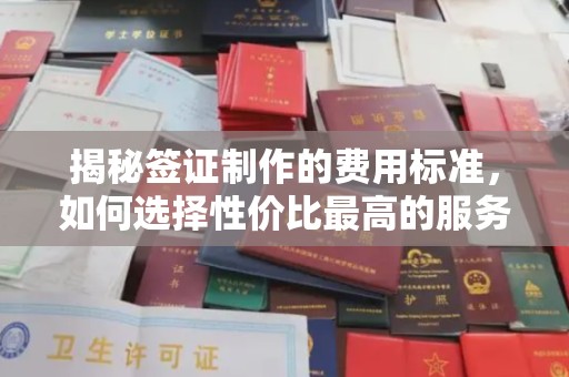 克孜勒苏揭秘签证制作的费用标准，如何选择性价比最高的服务？