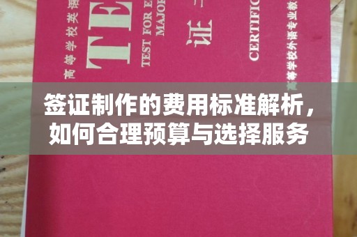 克孜勒苏签证制作的费用标准解析，如何合理预算与选择服务